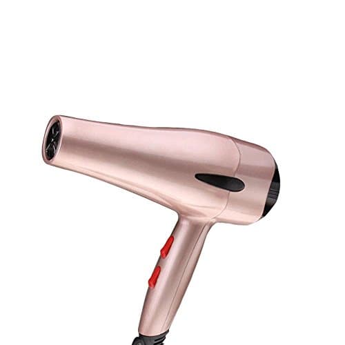 3000W Compact powerful Professional Negative Ionic Hair Dryer with 5 Speed and 3 Heat Setting Dryer- Jasmine fragrant , Gold