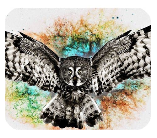 Owl Flying On Sky Customized Mouse Pad Perfect Personalized Gift