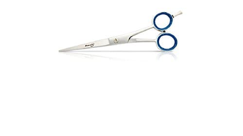 5.5 Inch Straight Grooming Shears SG55 Scissors