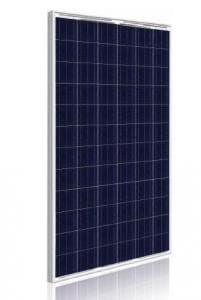 Q CELLS 265W Poly BLK/WHT Solar Panel - Pack of 4