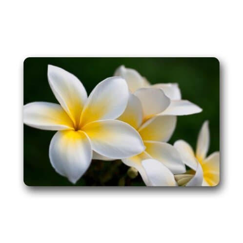 Custom It Plumeria Flowers Rectangular Decorative non slip Doormat 15.7 by 23.6 by 3/16-Inch