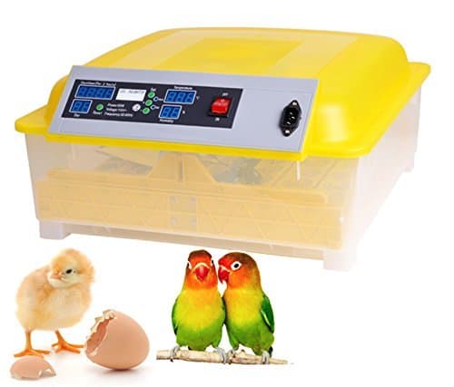 Meharbour Automatic 48 Digital Clear Egg Incubator Hatcher, 80W Egg Turning Temperature Controller for Chicken Poultry Duck Bird Egg, US Plug (48 Egg Incubator) (US STOCK)