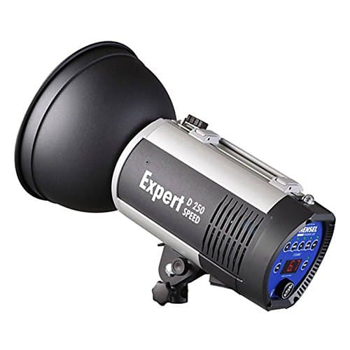 Hensel Expert D 250 Speed Monolight