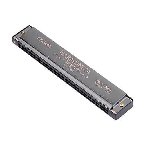 YYLIANG Children Beginner 24 Holes Double Tremolo harmonica - Polyphony harmonica -Blues harmonica- Key of C (Black)