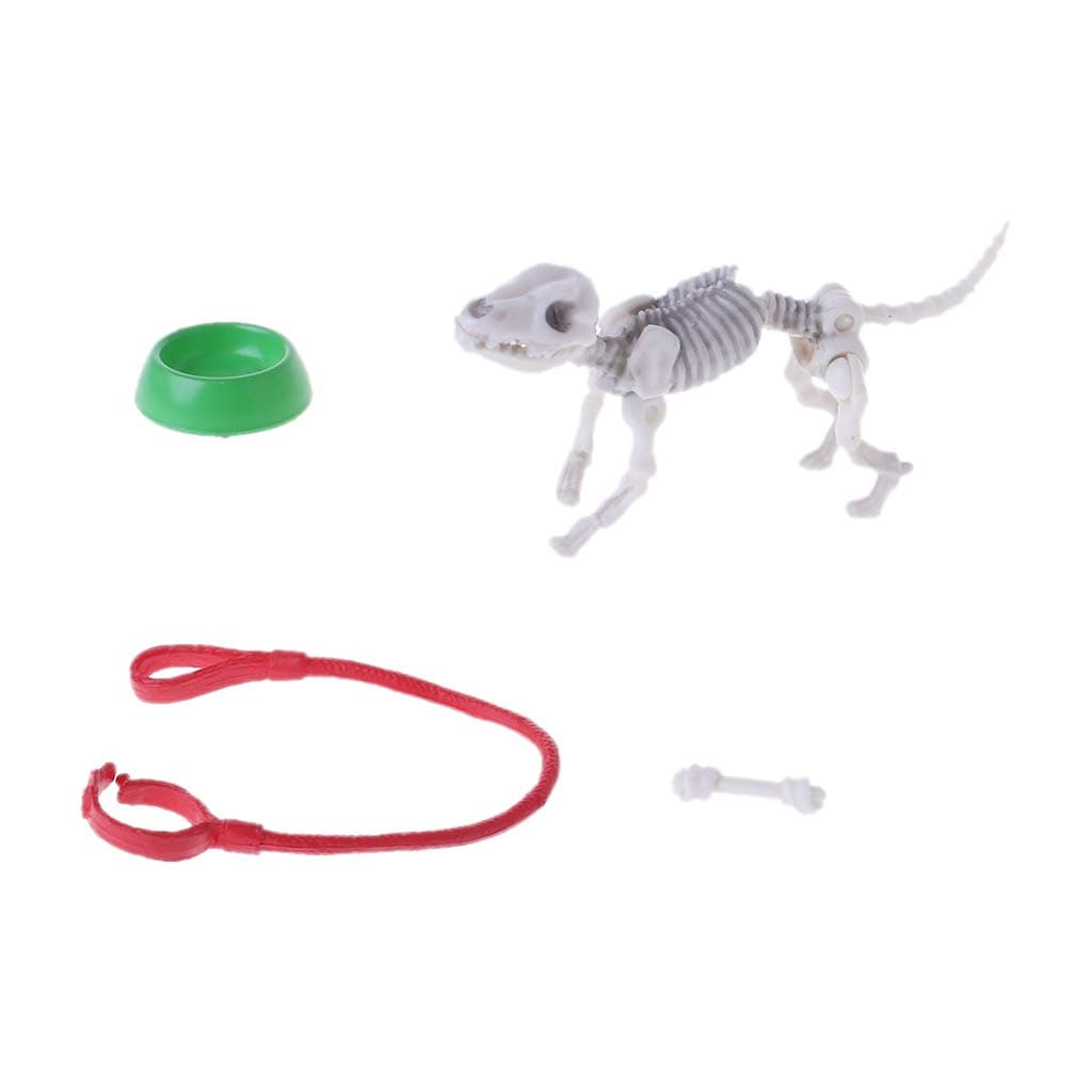 Fogun Movable Mr. Bones Accessories， Skeleton Human Model Skull Figure Toy Halloween