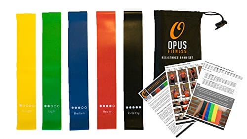 Resistance Bands Training Exercise Set – 80 Day Obsession Equipment – Also for Injury Rehabilitation and Physical Therapy – Set of Five Bands with Carrying Case and Full Instructions