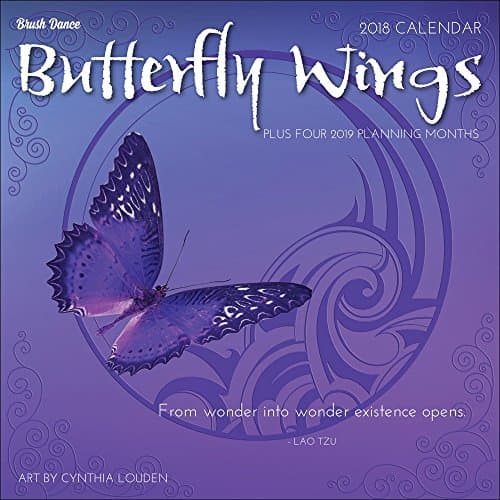 Butterfly Wings 2018 Mini Wall Calendar