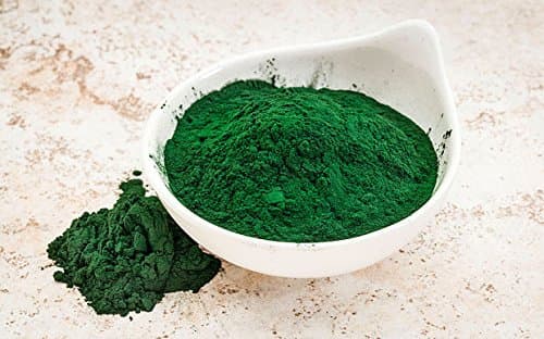 Organic Spirulina Powder 4 oz