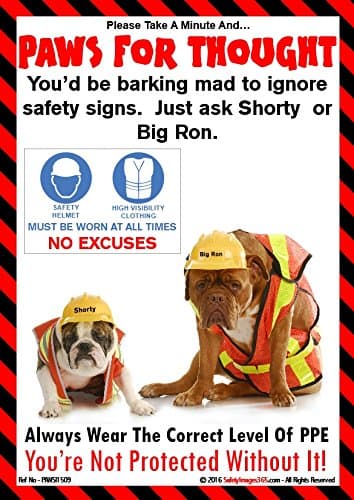 You'de be barking mad