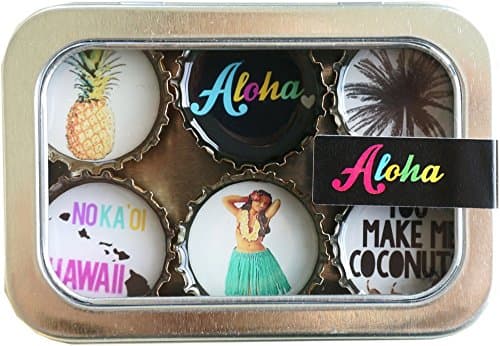 Kate Grenier Designs Aloha Bottle Cap Magnets