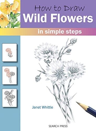 How to Draw: Wild Flowers in Simple Steps