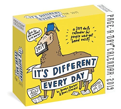 It's Different Every Day Page-A-Day Calendar 2019