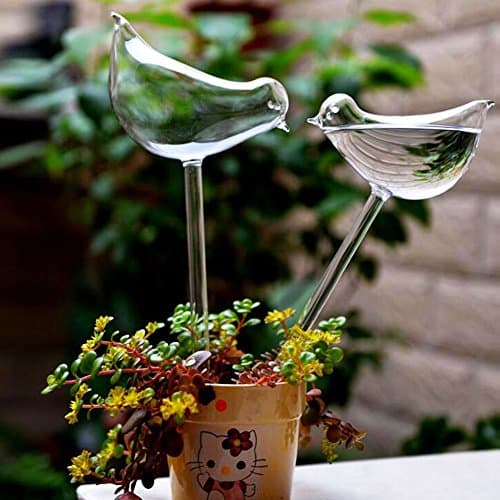 Plant Waterer Self Watering Spike Slow Release Vacation System Automatic Devices for Outdoor Indoor Tree Drip Irrigation Garden Globes House Water Pot Patio Flower (Large, Bird Shape)