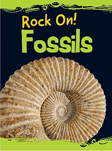 Fossils (Raintree Perspectives: Rock on!)