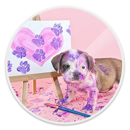 Pop Grip Socket, Prevent Phones from Dropping,Expanding Stand Grip for Iphone8/7/7Plus/6/6s/6Plus and Ipad [Painting Puppy]