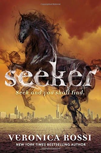 Seeker (Riders)