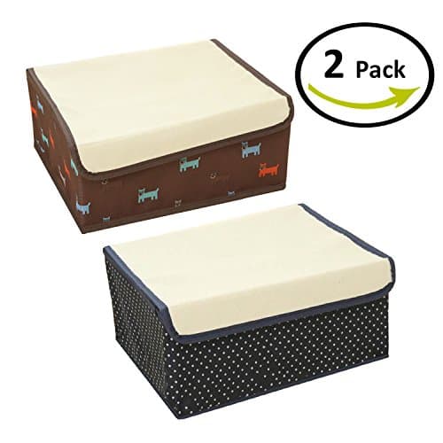 Foldable Canvas Fabric 13-Compartment Dust-Proof Moisture-Proof Anti-bacteria Formaldehyde-free Storage Boxes Closet Organizer Two in One Drawer Divider for Underwear, Bras, Towels, Socks