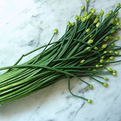 Chives Seeds Garlic 1 Pound