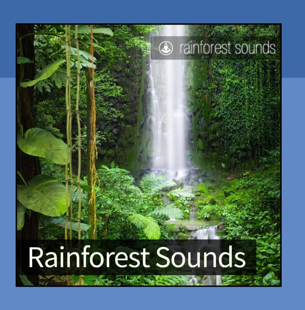 Rainforest Sounds