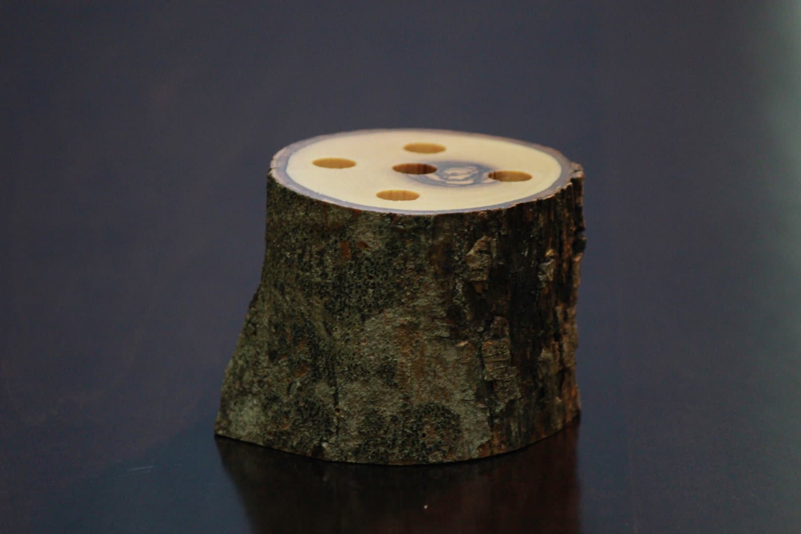 Verna iPhone X/iPhone Xs Case, Slim PU Leather Case with Card Holder Slot, Compatible with Apple iPhone X/iPhone Xs - Red