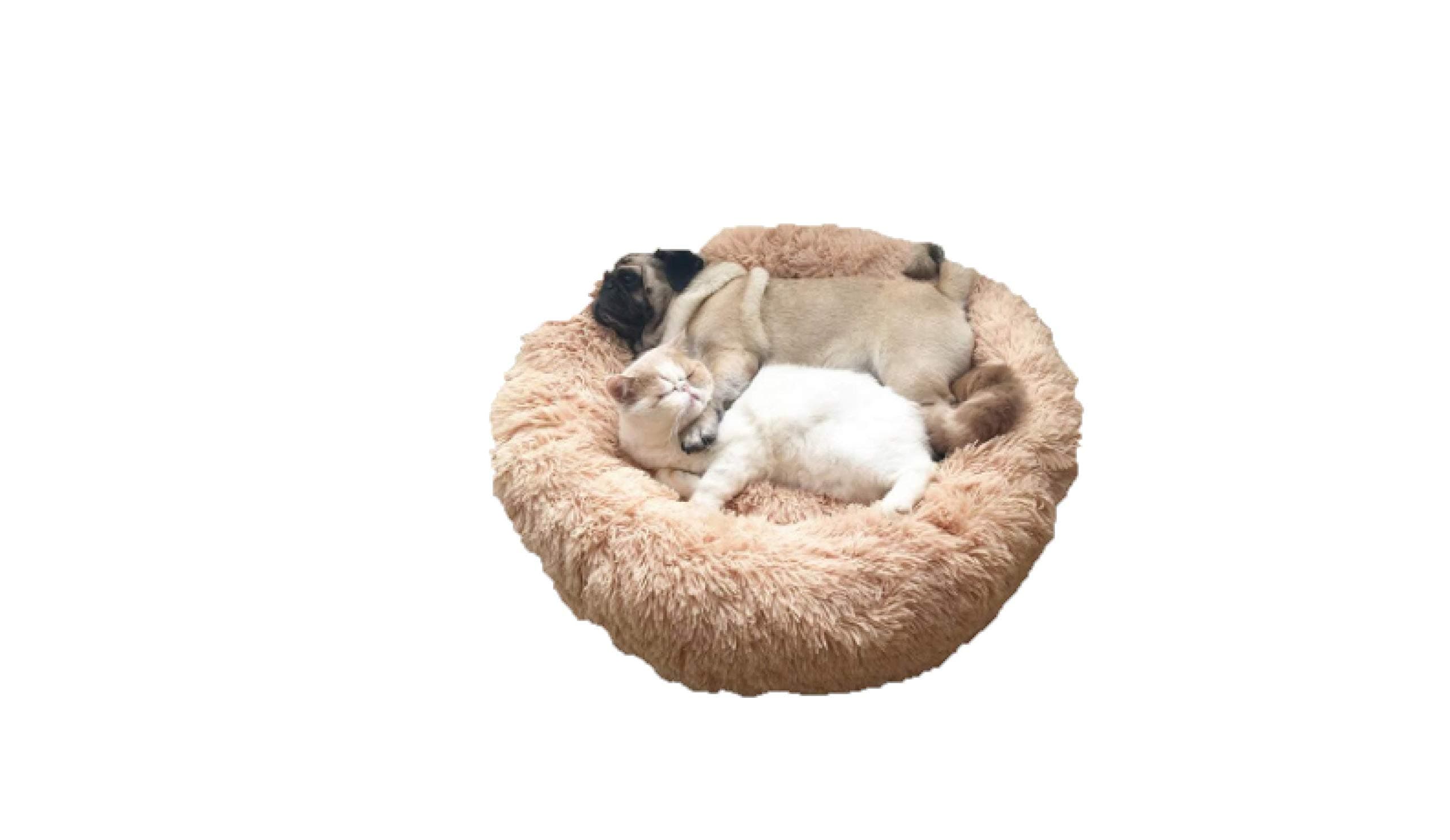 Self-Warming and Calming 100% Cotton-Filled Nesting Pet Bed (Multiple Sizes and Colors), Anti-Slip Bottom, Machine Washable(Small, Dark Grey)