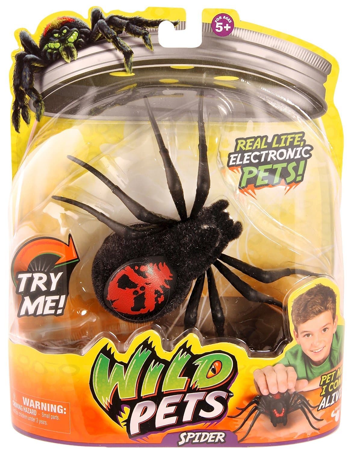 Wild Pets Spider Creepster