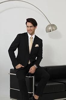 HISDERN Mens Ties Solid Color Wedding Ties and Pocket Square Neckties Clip Sets Business Formal Satin Ties for Men