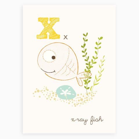 Sea Urchin Studio - X is for X-ray Fish - ABC Alphabet Wall Art for Kids