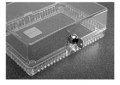 Honeywell CG511A1000 Medium Thermostat Guards