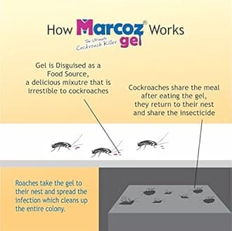 Marcoz Gel Ultimate cockroach killer gel for home Kitchen Safe, Odourless, Fast and Convenient Powerfull 20g Pack of (8)