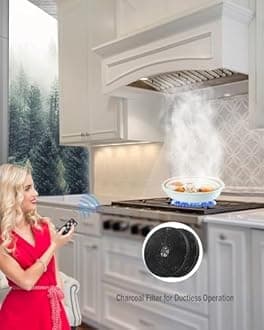 MCBON Charcoal Filter, Charcoal Filter for Range Hood, Range Hood Carbon Filter, for Ductless Range Hood, Toolless Installation, for AE88-30, AE88-36, 2 Pieces, ZY88-3