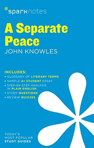 Separate Peace SparkNotes Literature Guide: Volume 58 (SparkNotes Literature Guide Series) Paperback – 4 Feb. 2014