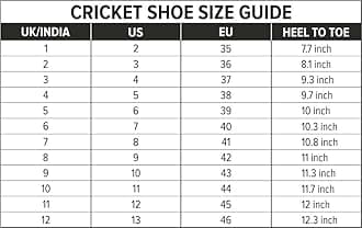 DSC Jaffa 22 Cricket Shoes for Men and Boys