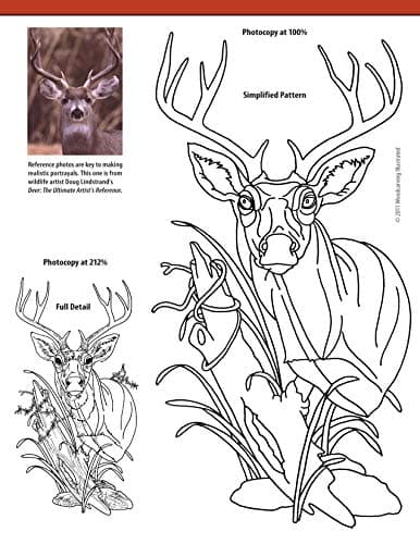 Relief Carving Projects & Techniques: Expert Advice and 37 All-Time Favorite Projects and Patterns (Fox Chapel Publishing) 3D Relief Carving ... (Best of Woodcarving Illustrated)