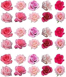 Pack of 30 Mixed Pink Roses Edible Cake Decoration Toppers - Printed on Wafer Paper or Icing (Wafer Paper)