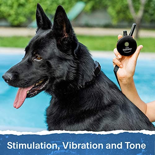 ET-300 Black Mini E Collar for Dog Training with Remote - 1/2 Mile Range, Waterproof, 100 Blunt Stimulation Levels, Tone or Vibration Mode, Night Light Tracking for Small, Medium & Large Dogs