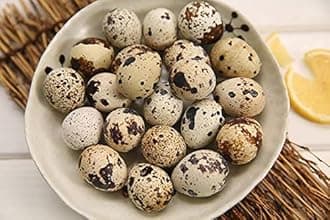 Rozatech Organic Fresh 40 Quail Eggs / Kada Mutta / Bater Ke Ande (Pack of 40 Eggs) (40)