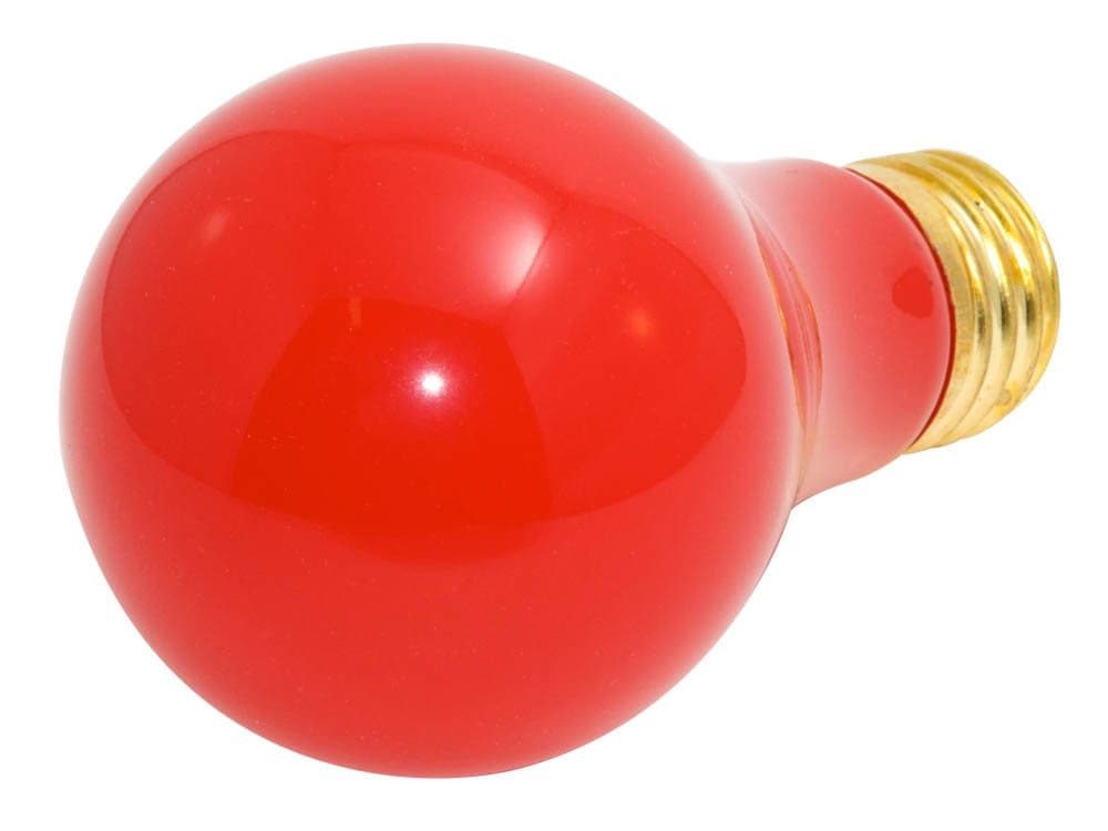 Bulbrite Incandescent A19 Medium Screw Base (E26) Light Bulb, 25 Watt, Ceramic Red