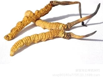 Wild Himalayan Cordyceps Sinensis,Chinese Caterpillar Fungus,Dong Chong Xia Cao,Cordyceps Sinensis,Wild Cordyceps. (10 Grams)
