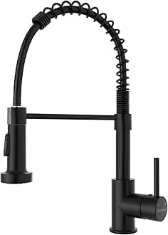 DAYONE Black Kitchen Faucets with 2 Water Mode Sprayer, Stainless Steel Commercial Spring Kitchen Tap Sink Mixer, DAY-8101MB