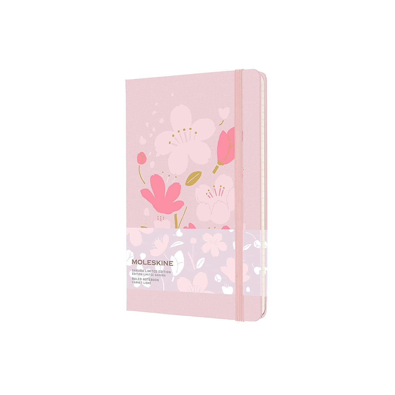 I Feel Brave (First Emotions)