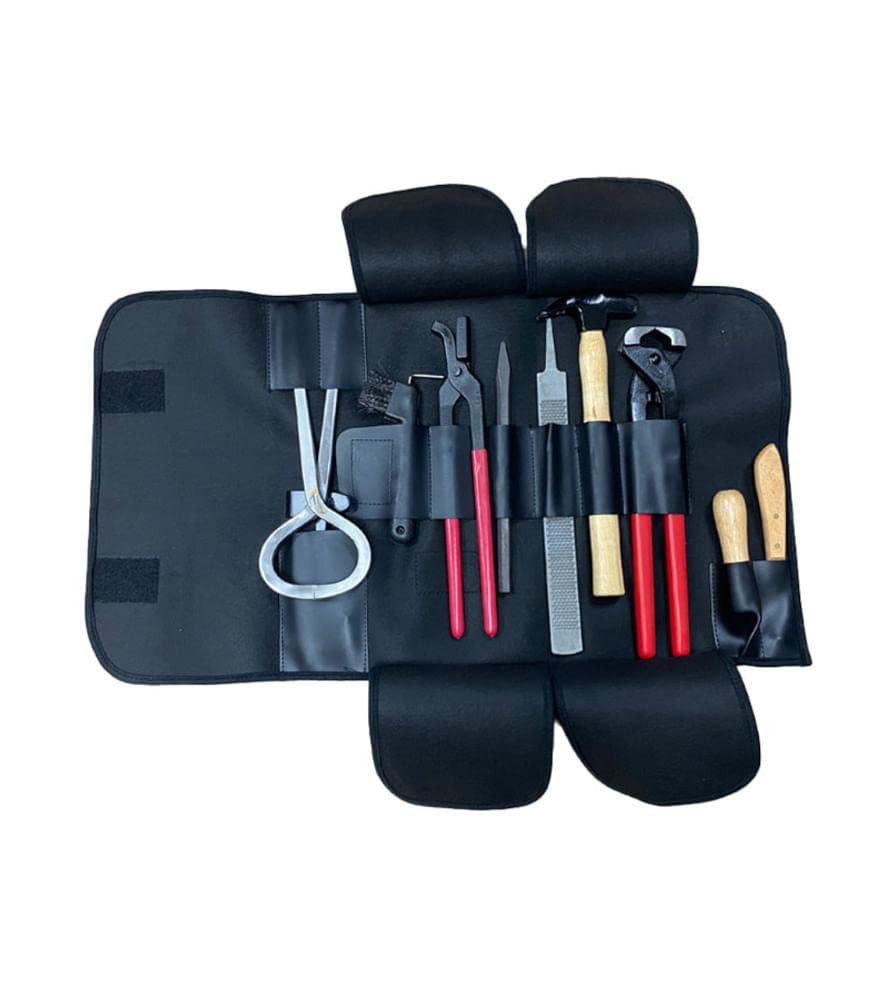 Pro Grade Complete Farrier Tool Kit w/Carrying Case