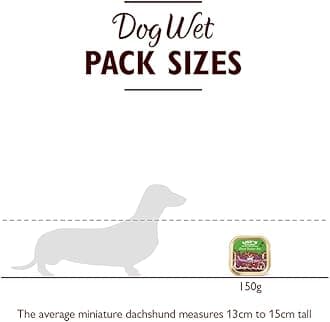 LILY'S KITCHEN Dog Vibrant Rainbow Stew Wet Dog Food - 150G