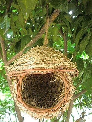 Bird Nest with 3-Inch Opening