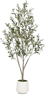 Olive Trees Artificial Indoor, 5FT Tall Faux Olive Tree with White Tall Planter, Artificial Plants with Natural Wood Trunk and Lifelike Fruits for Home Office Decor