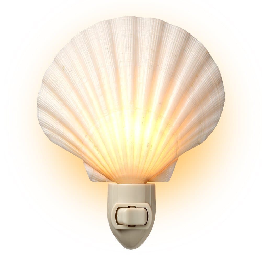 Real Shell Nightlight