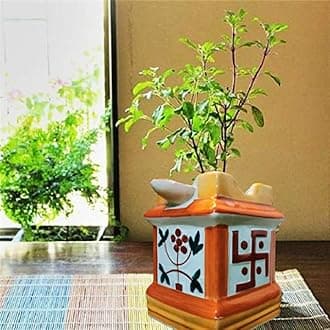 Niyara Ceramic Tulsi Pot – Traditional Plant Holder with Elegant Design (Size- 7 X 10 inch, Color- Multicolor)