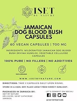 Iset By Nature Jamaican Dog Blood Bush Capsules 1400mg - Fertility Supplements for Women to Support Hormone Balance & Conception, PCOS Relief with Organic Jamaican Dog Blood Herb - 60 Capsules, Vegan