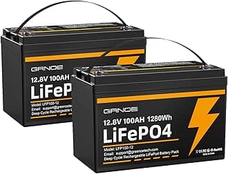 12V 100Ah LiFePO4 Battery Group 31 With Built-in 100A BMS (2 Pack), 1280Wh Lithium Battery with 15000 Deep Cycles, Prefect for Solar System, Rvs, Marine, Vans, Trailer, Backup