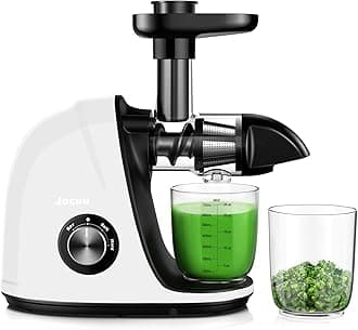 Slow Masticating Juicer with 2-Speed Modes - Cold Press Juicer Machine - Quiet Motor & Reverse Function - Easy to Clean Juicer Extractor - Juice Recipes for Fruits & Vegetables (White)